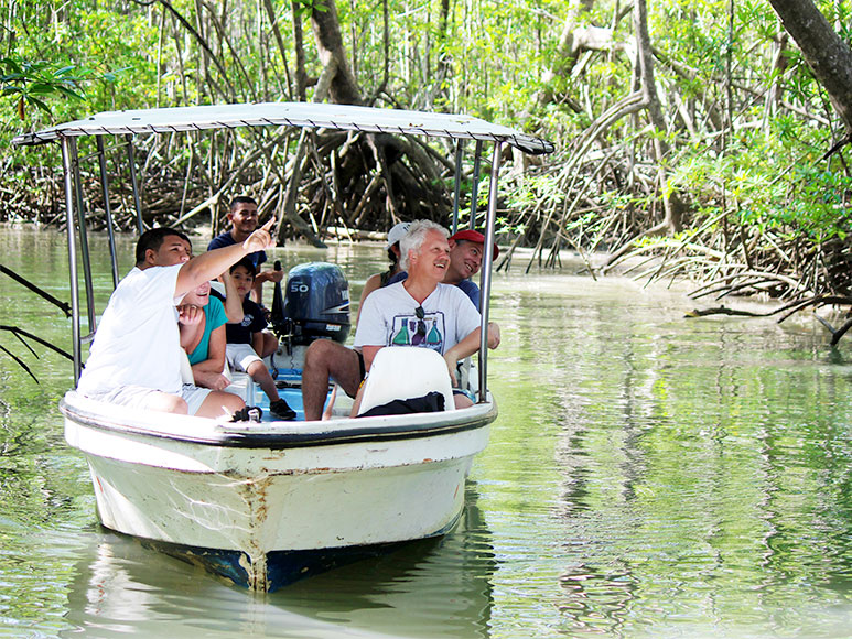 monkey mangrove tour tours