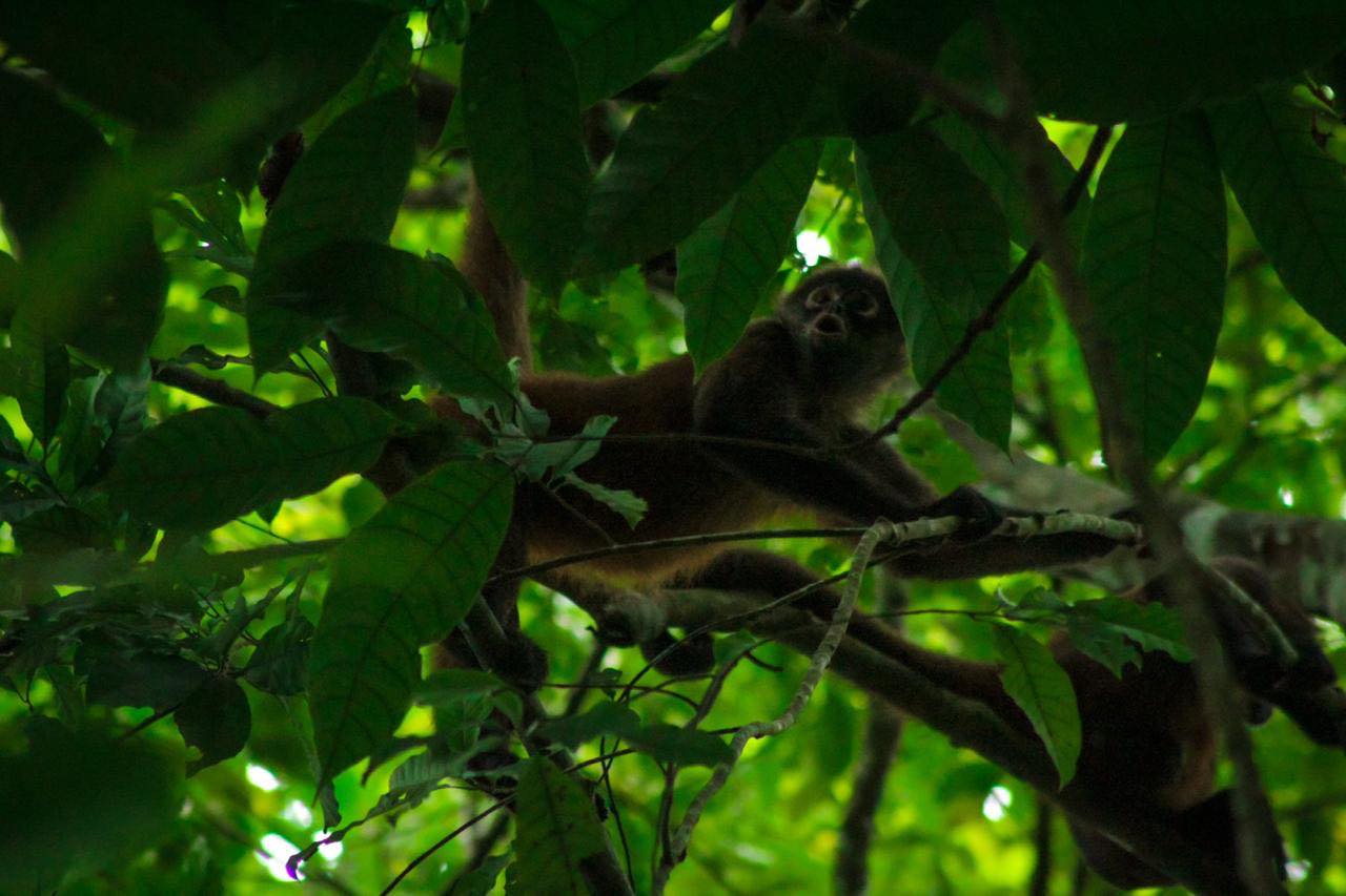 115805349_3171702376241292_715937107087339209_n