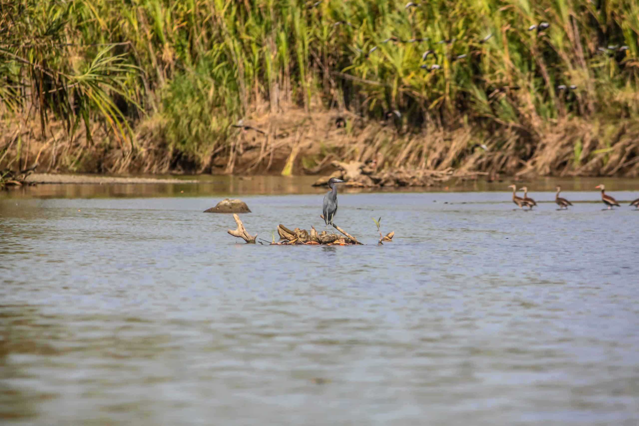 Rafting-costa-rica-0529web_-scaled