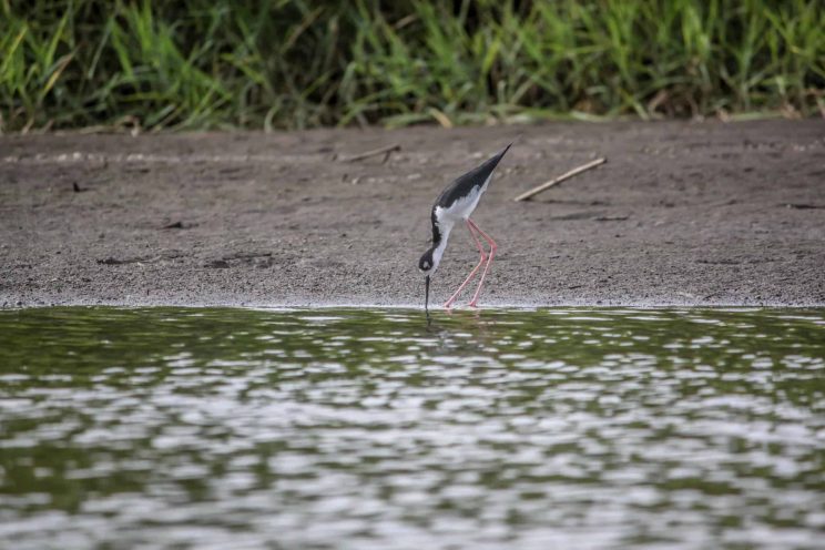 Rafting-costa-rica-0552web_-scaled