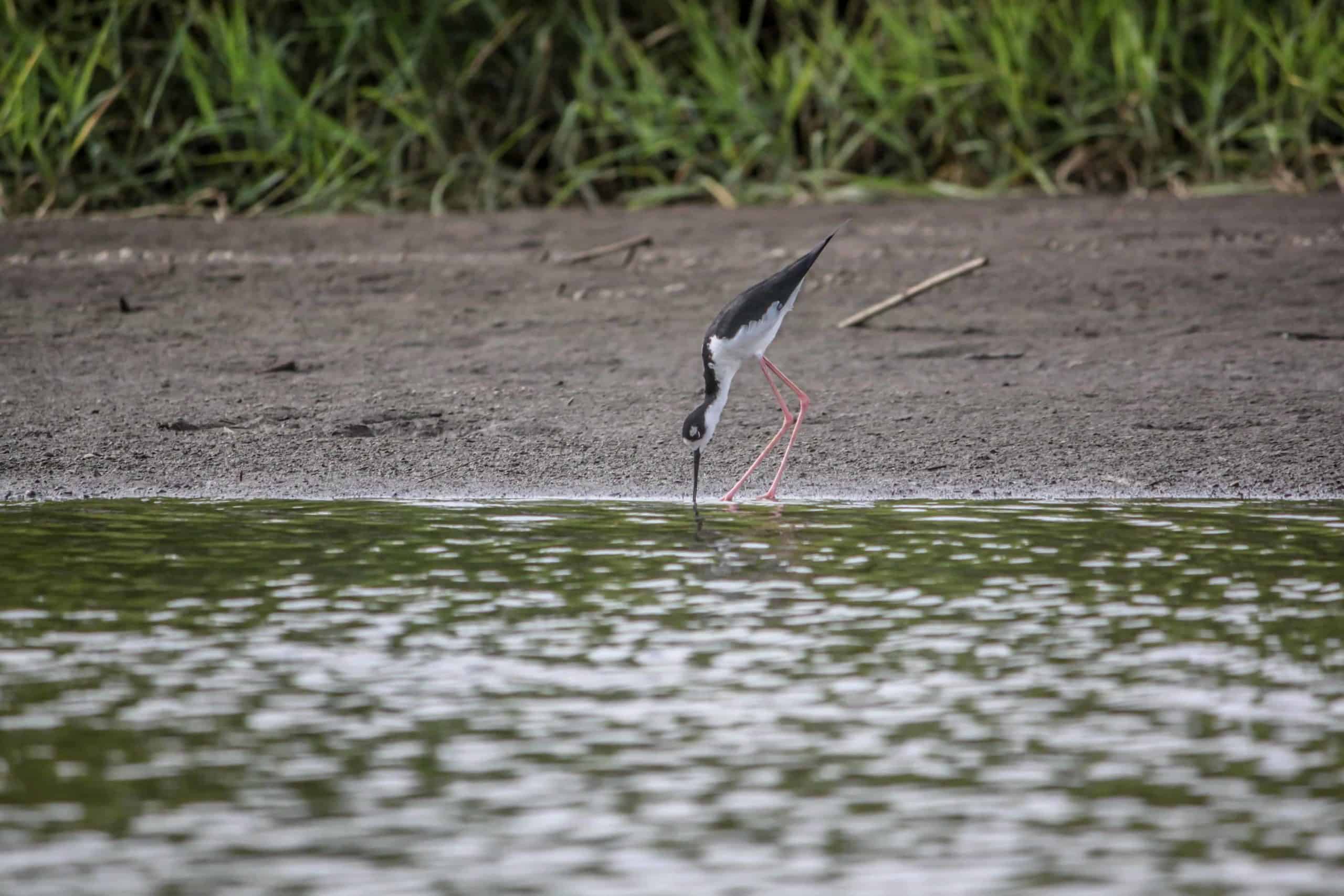 Rafting-costa-rica-0552web_-scaled