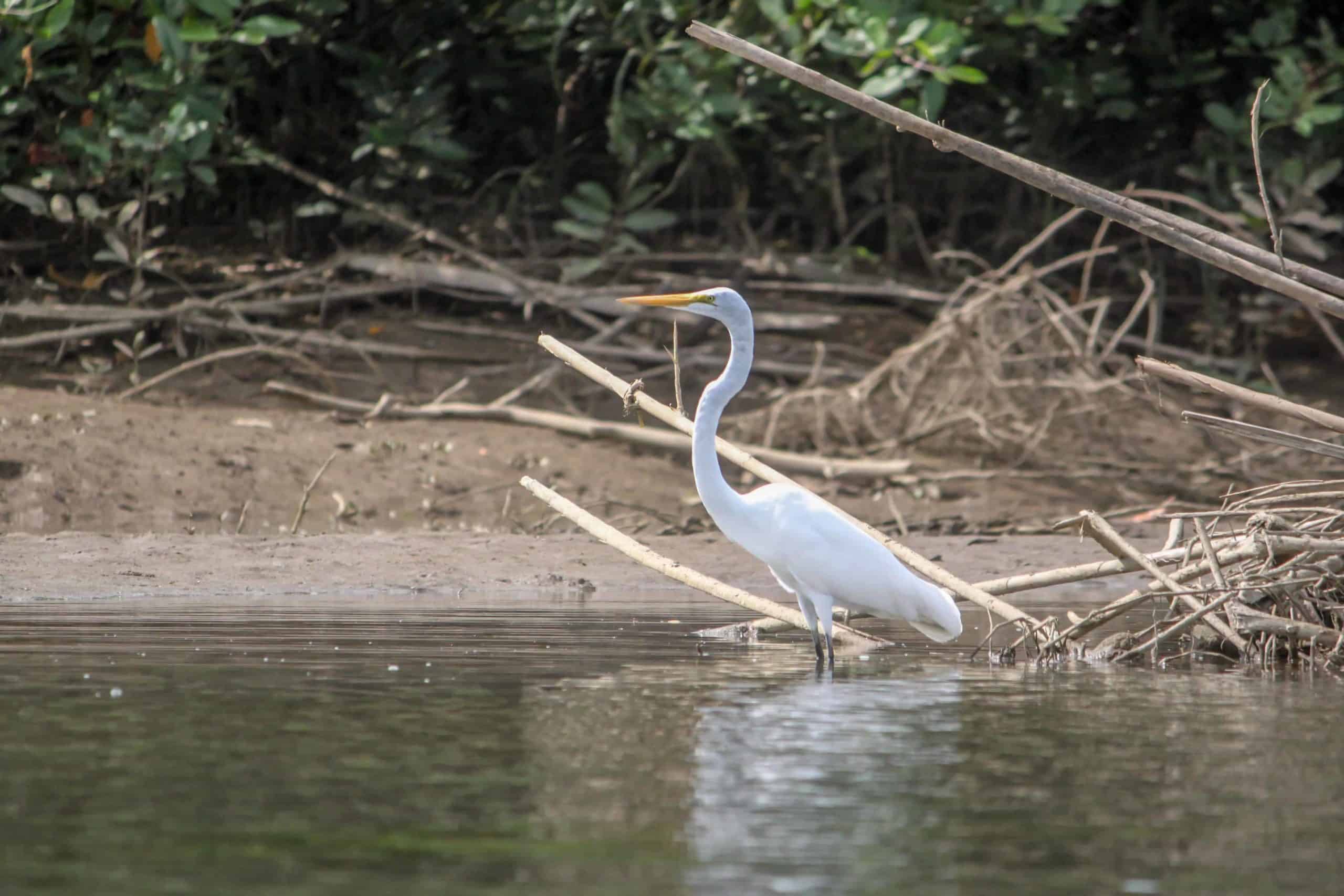 Rafting-costa-rica-0566web_-scaled