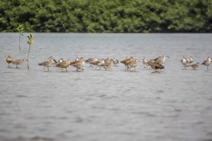 Rafting-costa-rica-0589web_-scaled