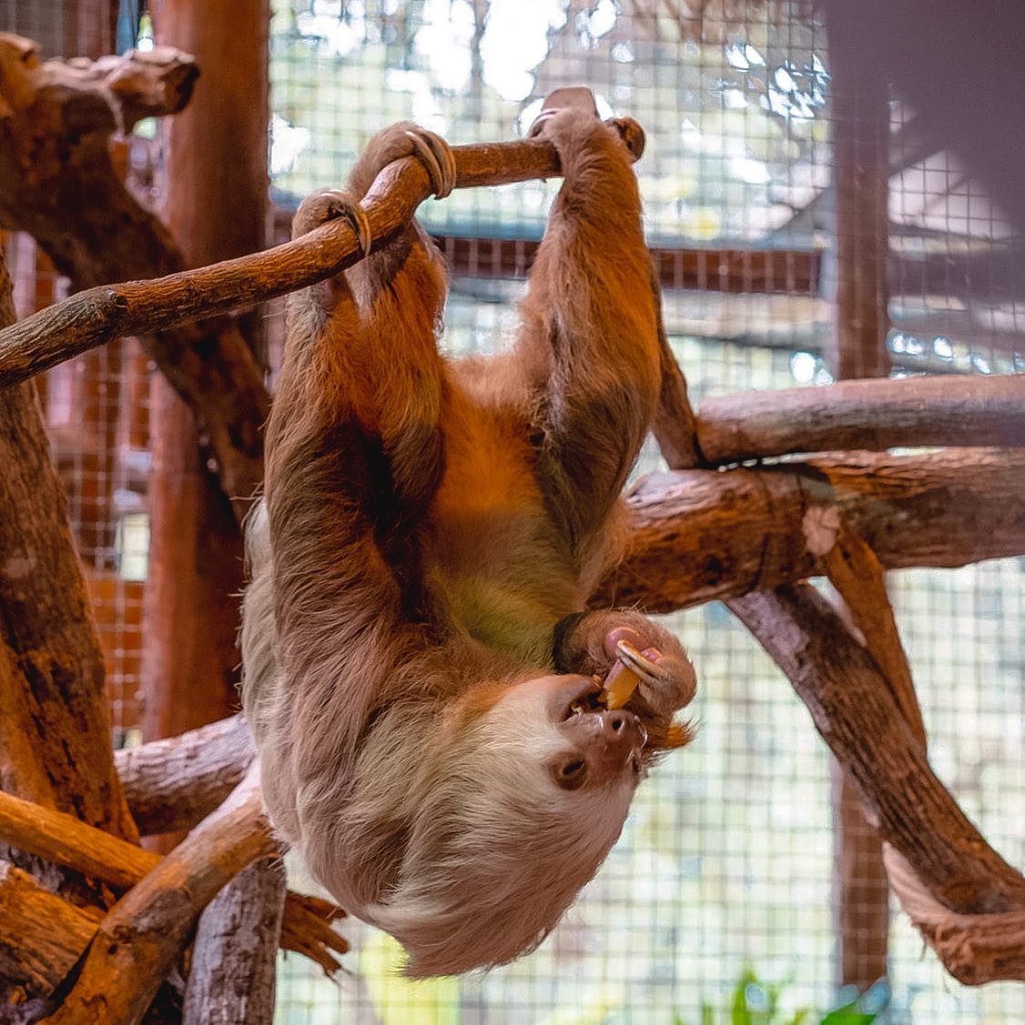 107879546_3806241079426620_2659994347706670795_n