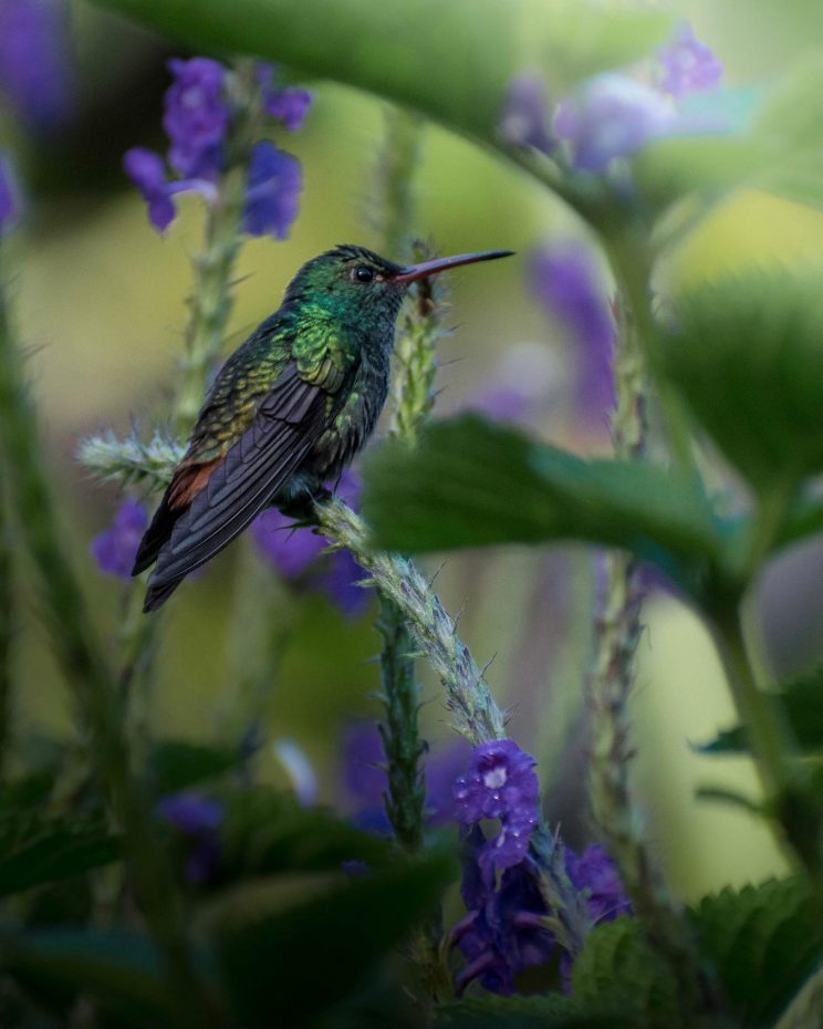 131992900_4291381087579281_7344878425116682297_n