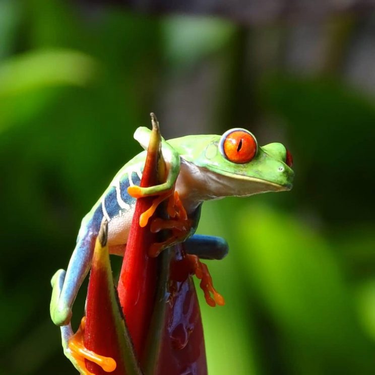 242092315_5070413143009401_9010058150847060775_n