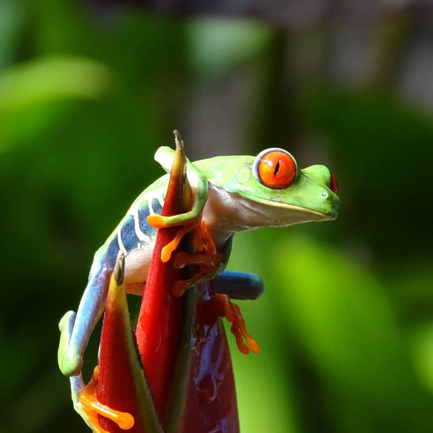 242092315_5070413143009401_9010058150847060775_n