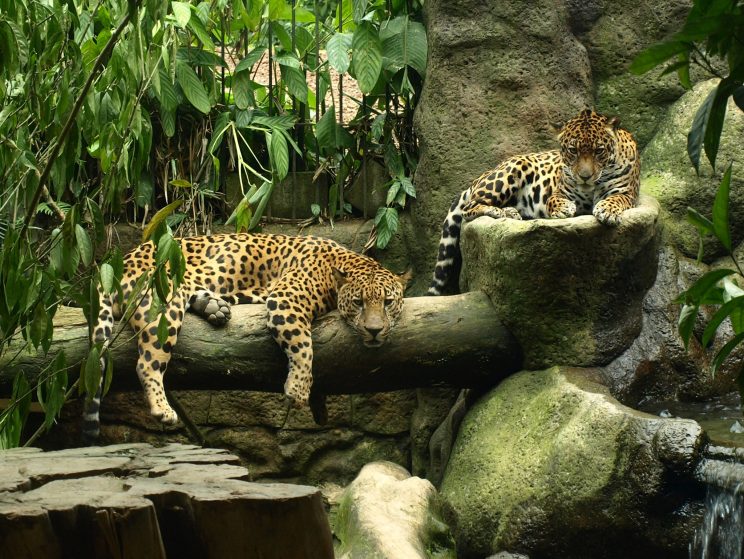 244672697_5140713022646079_1017150565070874231_n