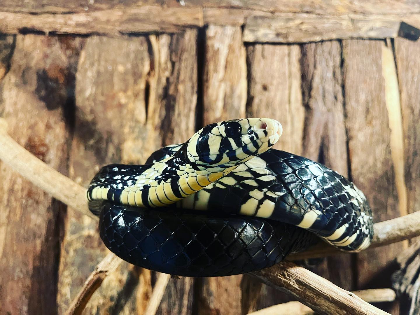 322709886_561326998828857_8530006491071116977_n