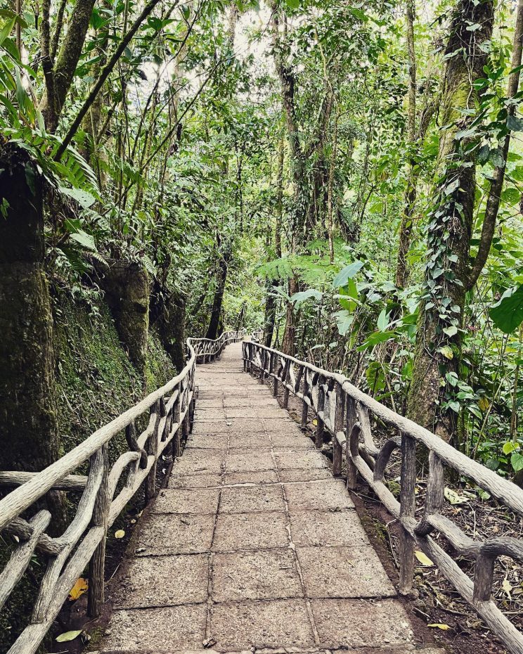 334935424_780609456290772_6185503386750541488_n