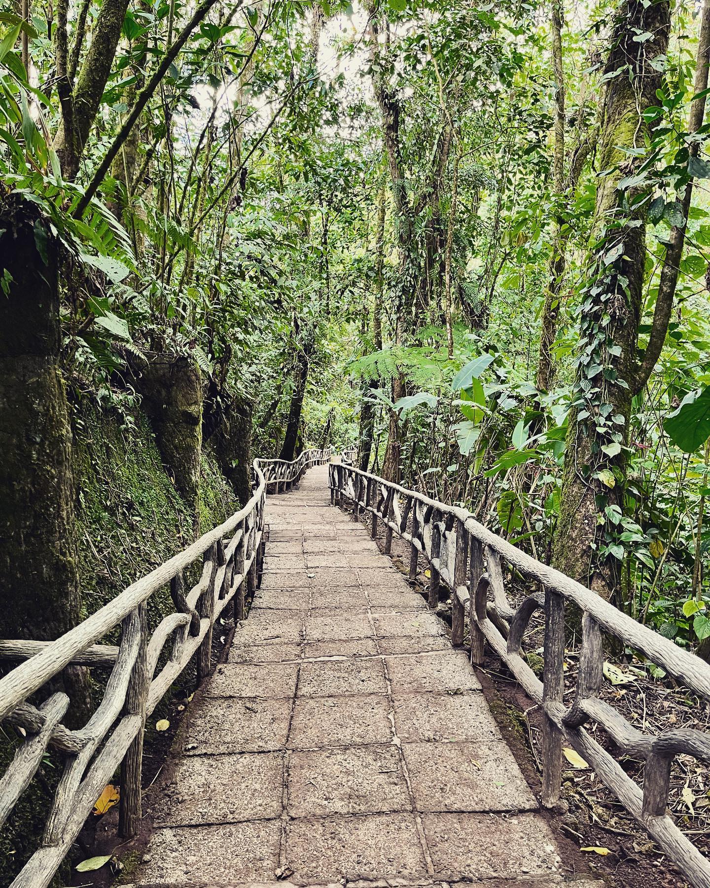 334935424_780609456290772_6185503386750541488_n