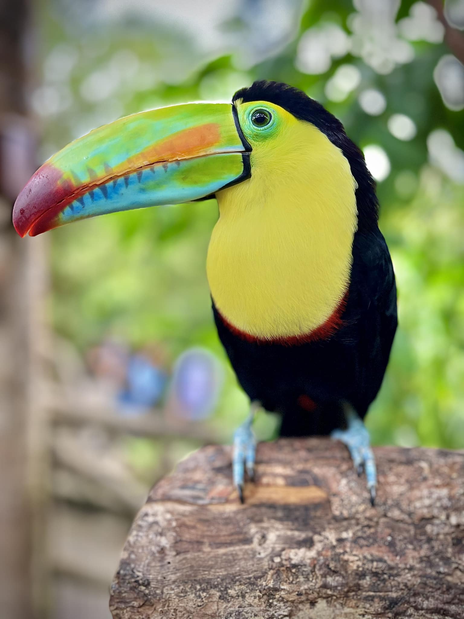 359311964_658298293000938_2438924908990076178_n