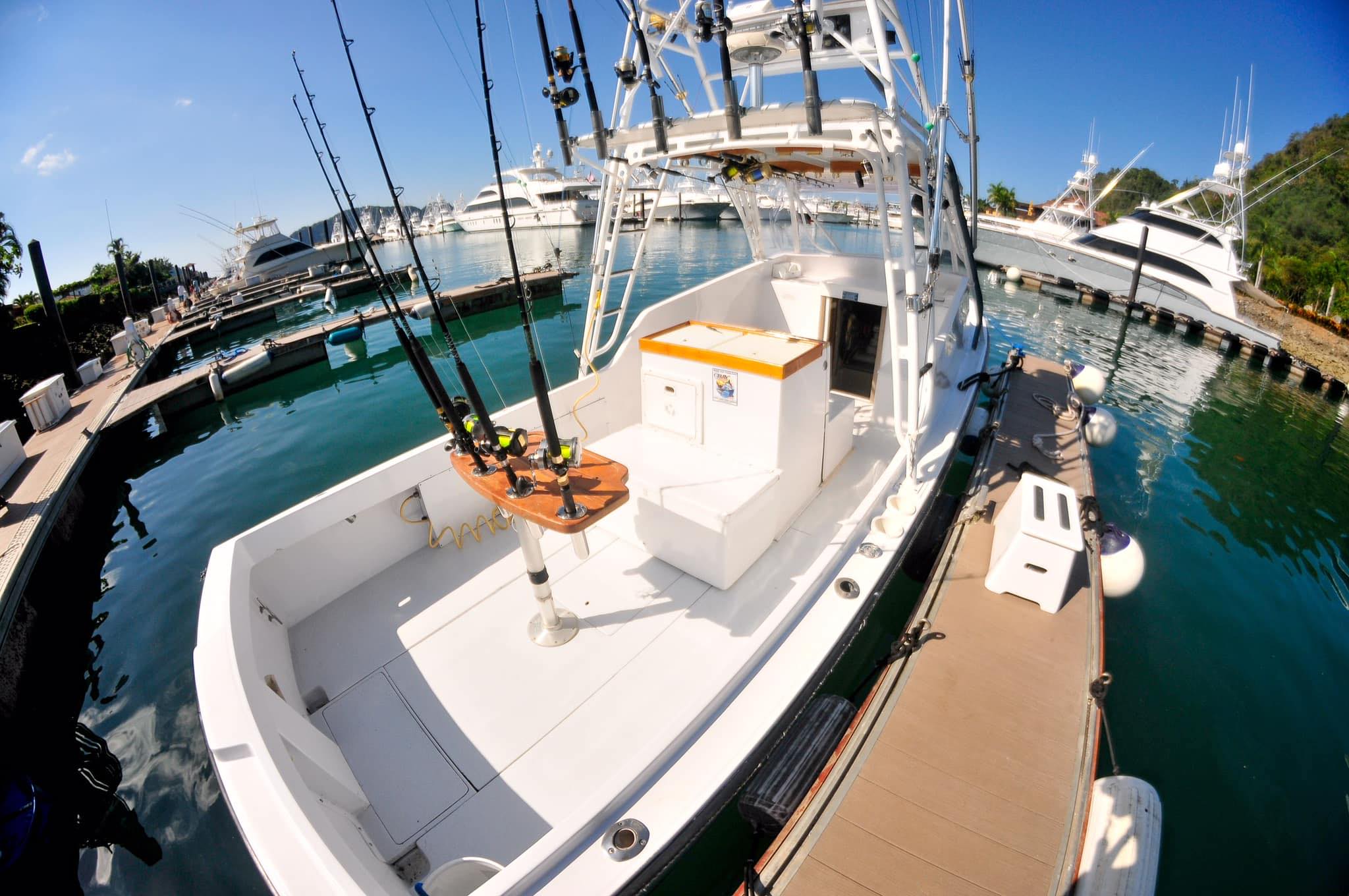 484543165_1185263713605736_1424070709857285371_n