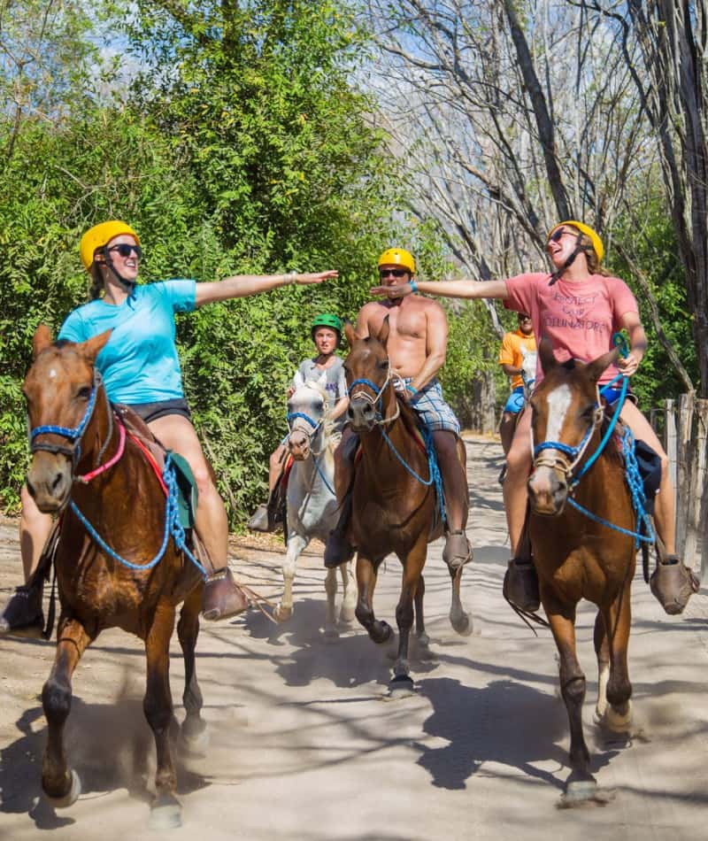 Exploring-the-Lush-Forests