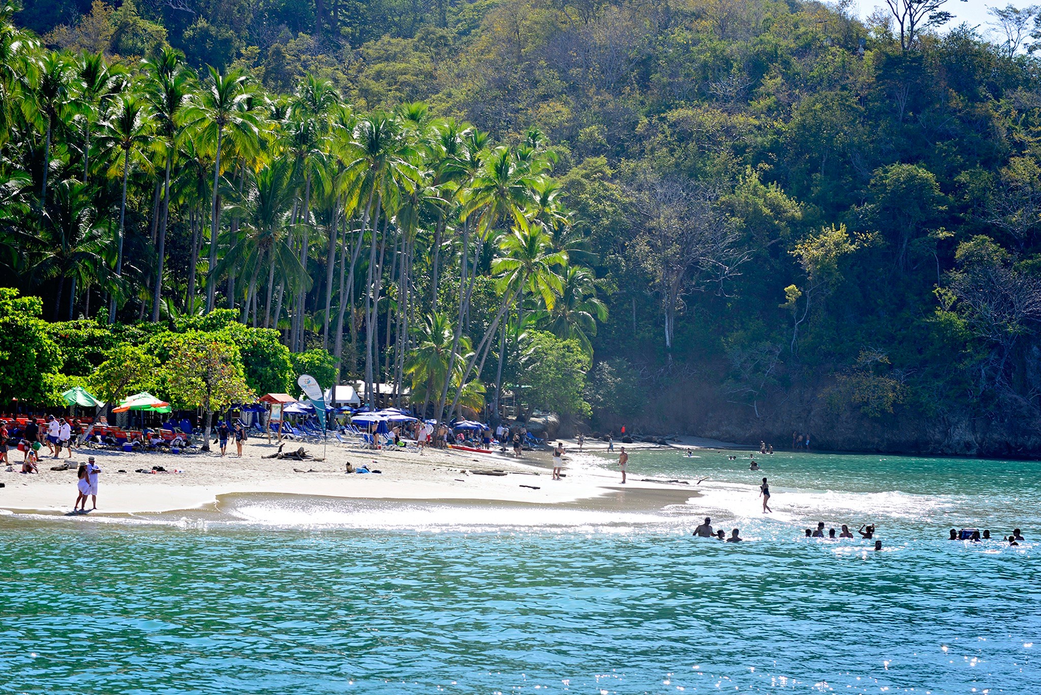 194787733_1396734154035563_716324412752325200_n