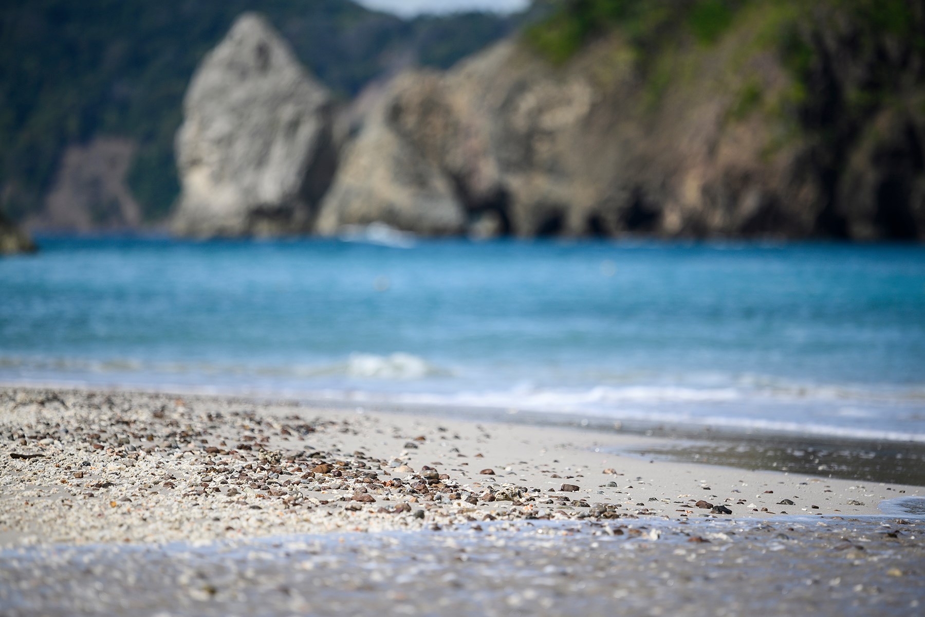 472441523_2312441179131518_6656538412618098860_n