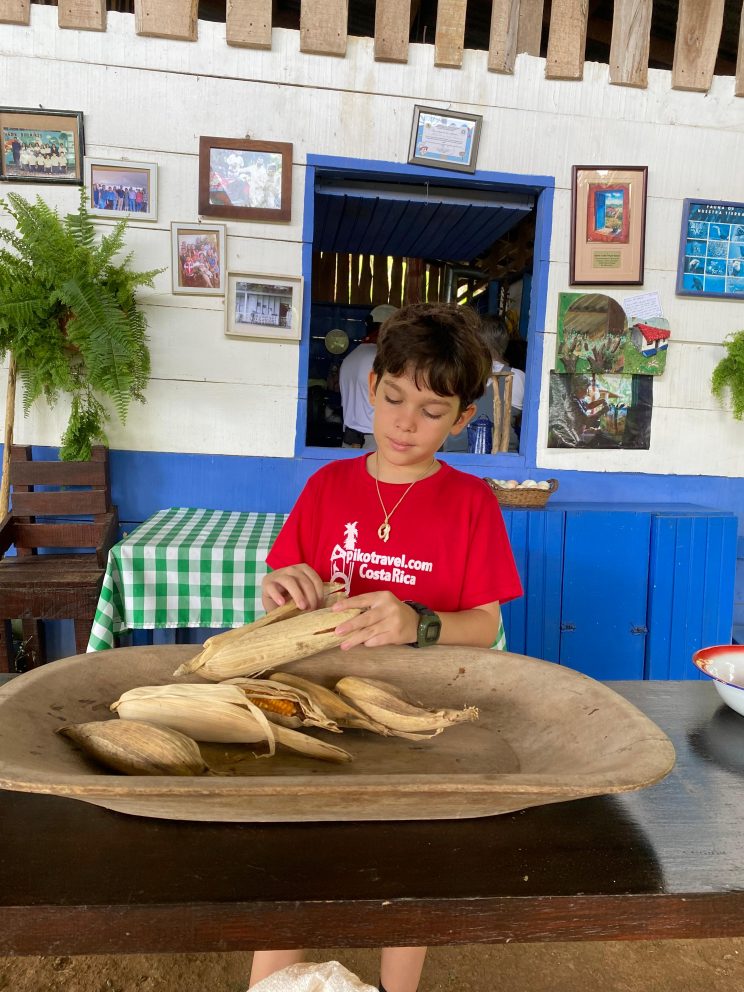 3c517caa-dc20-4df6-8795-829b933597b9