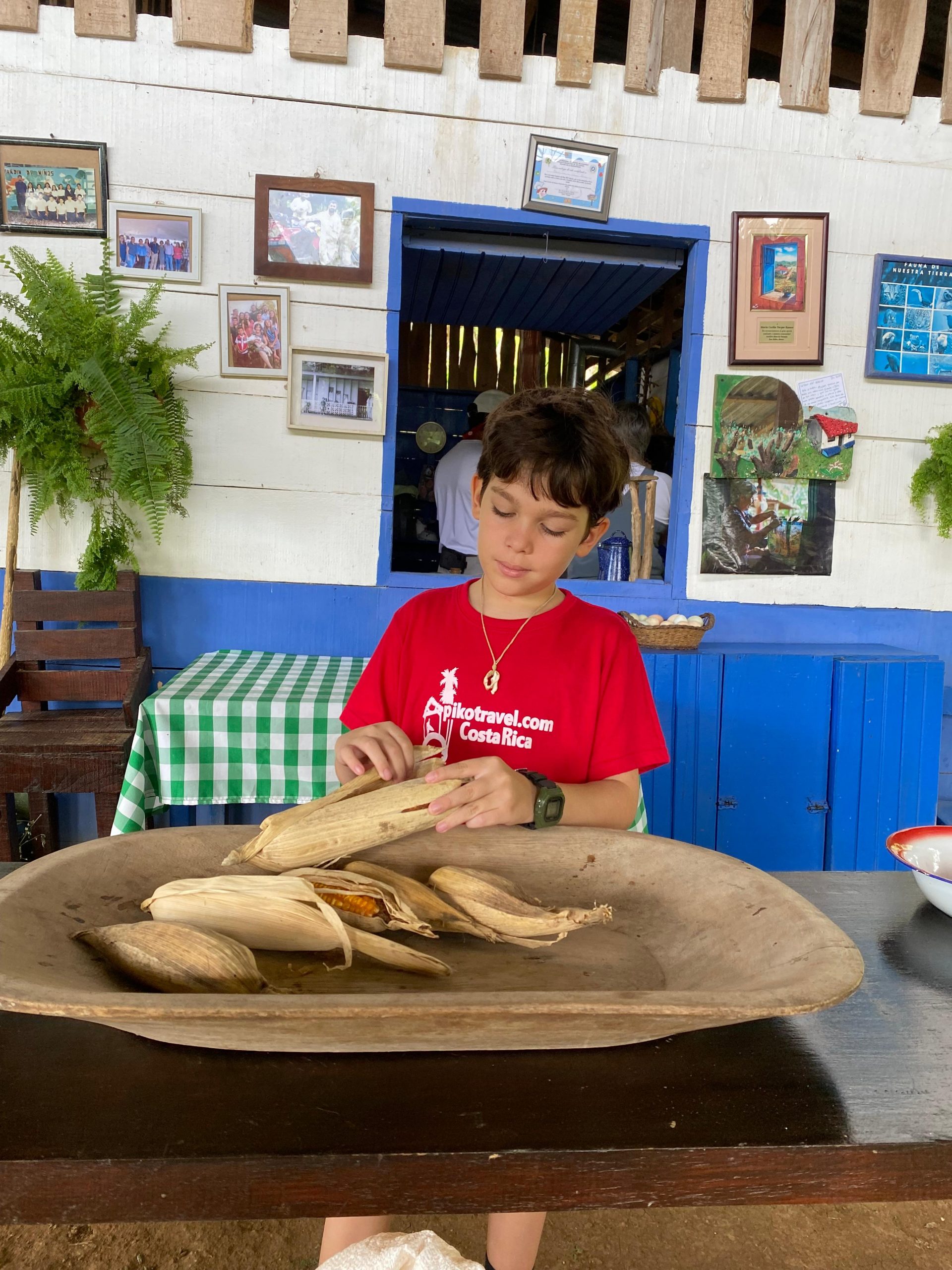 3c517caa-dc20-4df6-8795-829b933597b9