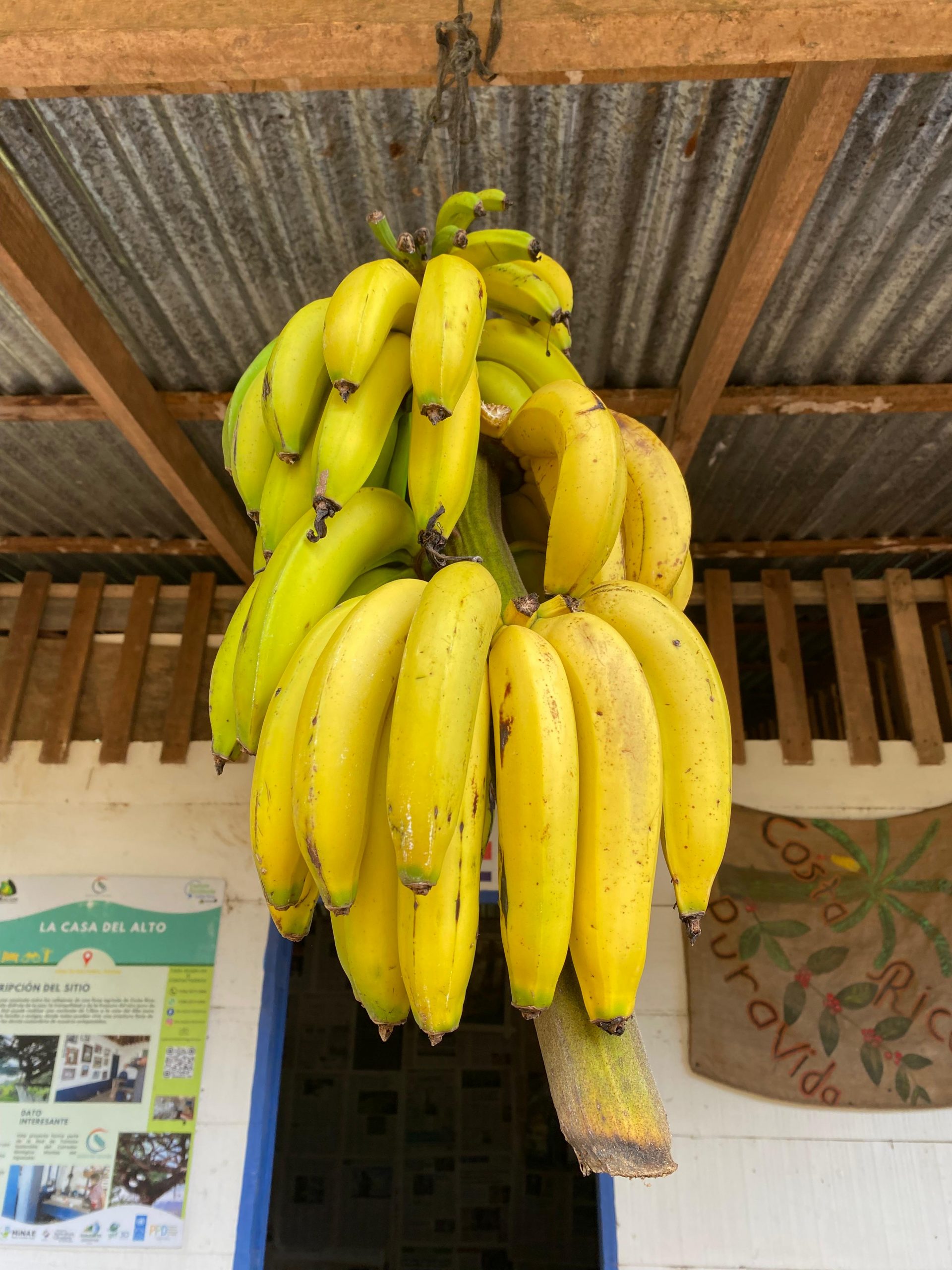 4a7be3ef-3978-4a68-8a95-1a57c6379588